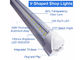 Ampoules fluorescentes à haute production de 8 pi T8