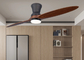 Deux ménage en bois solide de la lampe 110V de fan de salon intégré par plafond de feuille